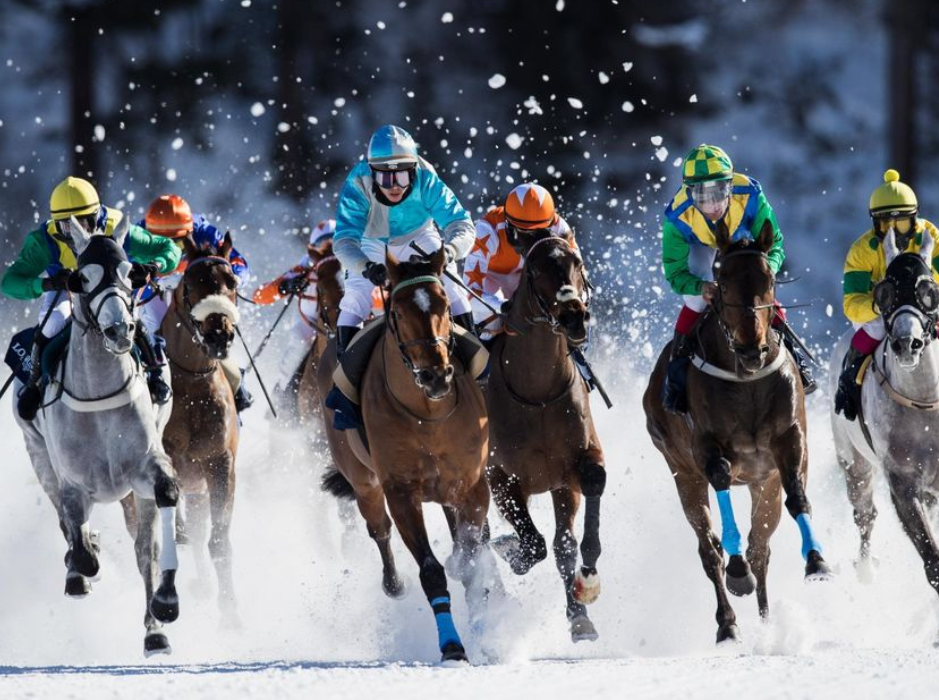 le boss du turf || boss turf || boss du turf || bossturf